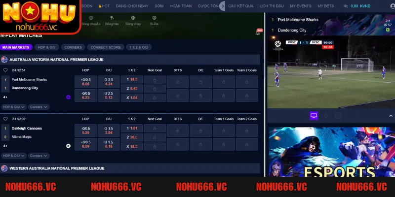 CR Sports là sảnh cược hoàn hảo để anh em tham gia live betting